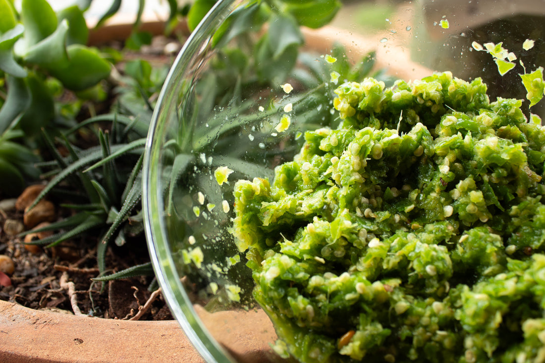Fresh Green Masala