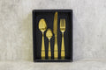 Regent- Cutlery Set (16 Piece)